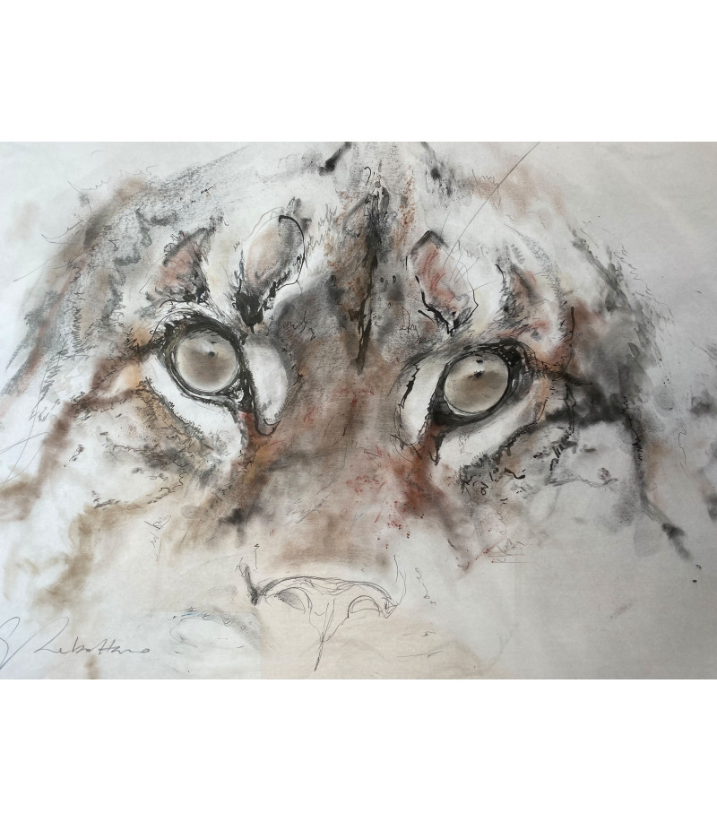 dessin-aquarelle-regard-de-lynx-rebottaro