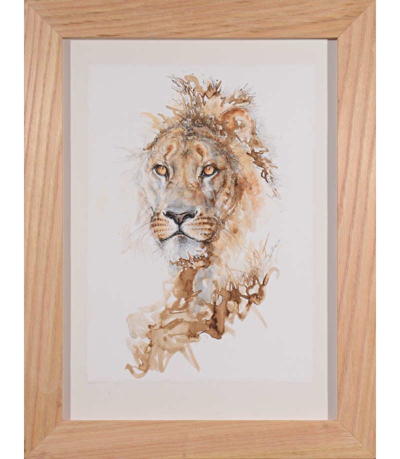 dessin-aquarelle-lion-2-rebottaro