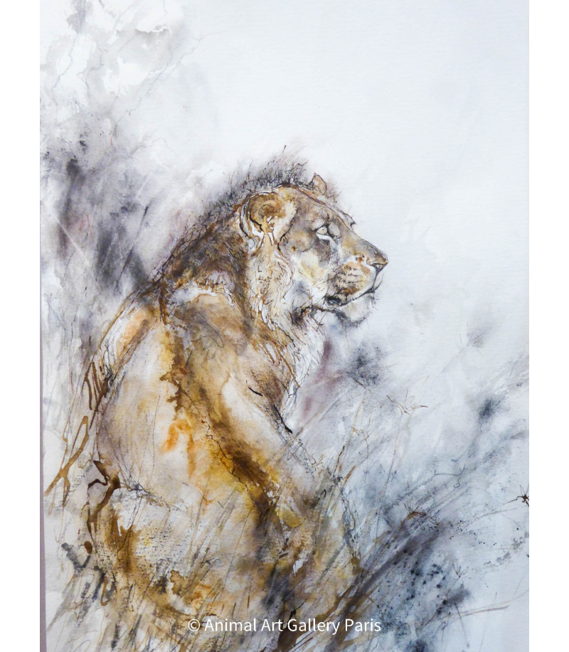 dessin-aquarelle-lion-assis-rebottaro-2