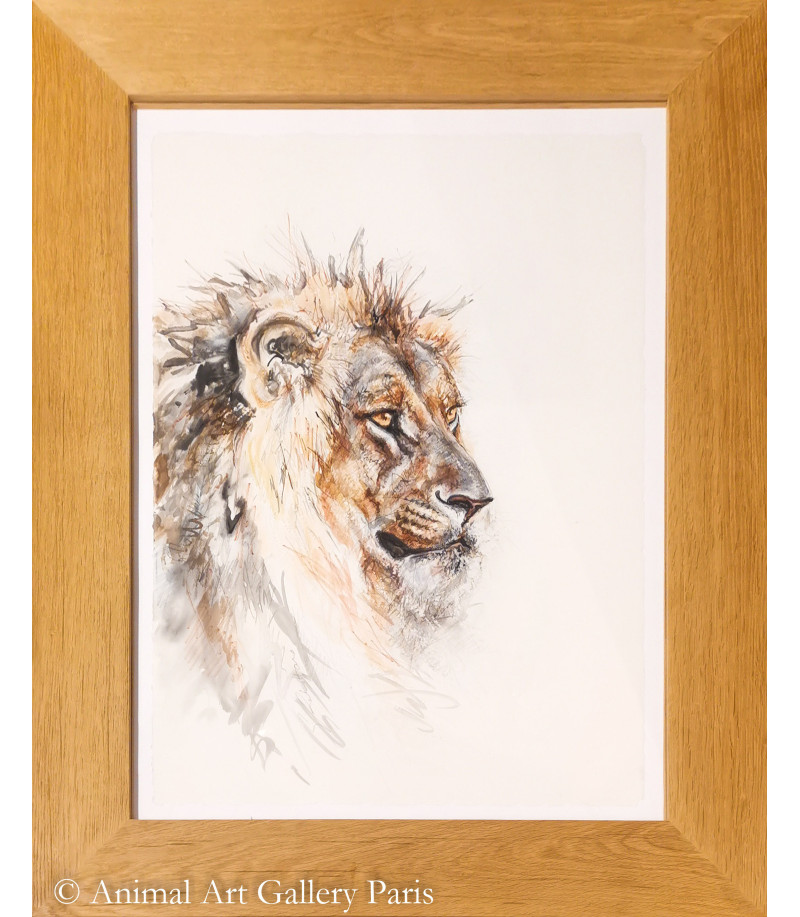 dessin-aquarelle-lion-5-rebottaro-4