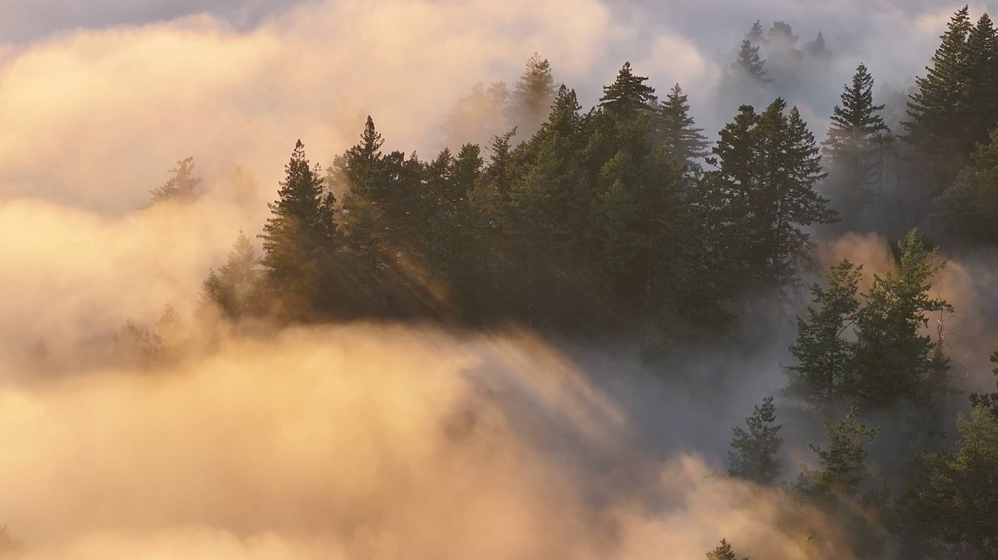 Divorce & Legal Separation