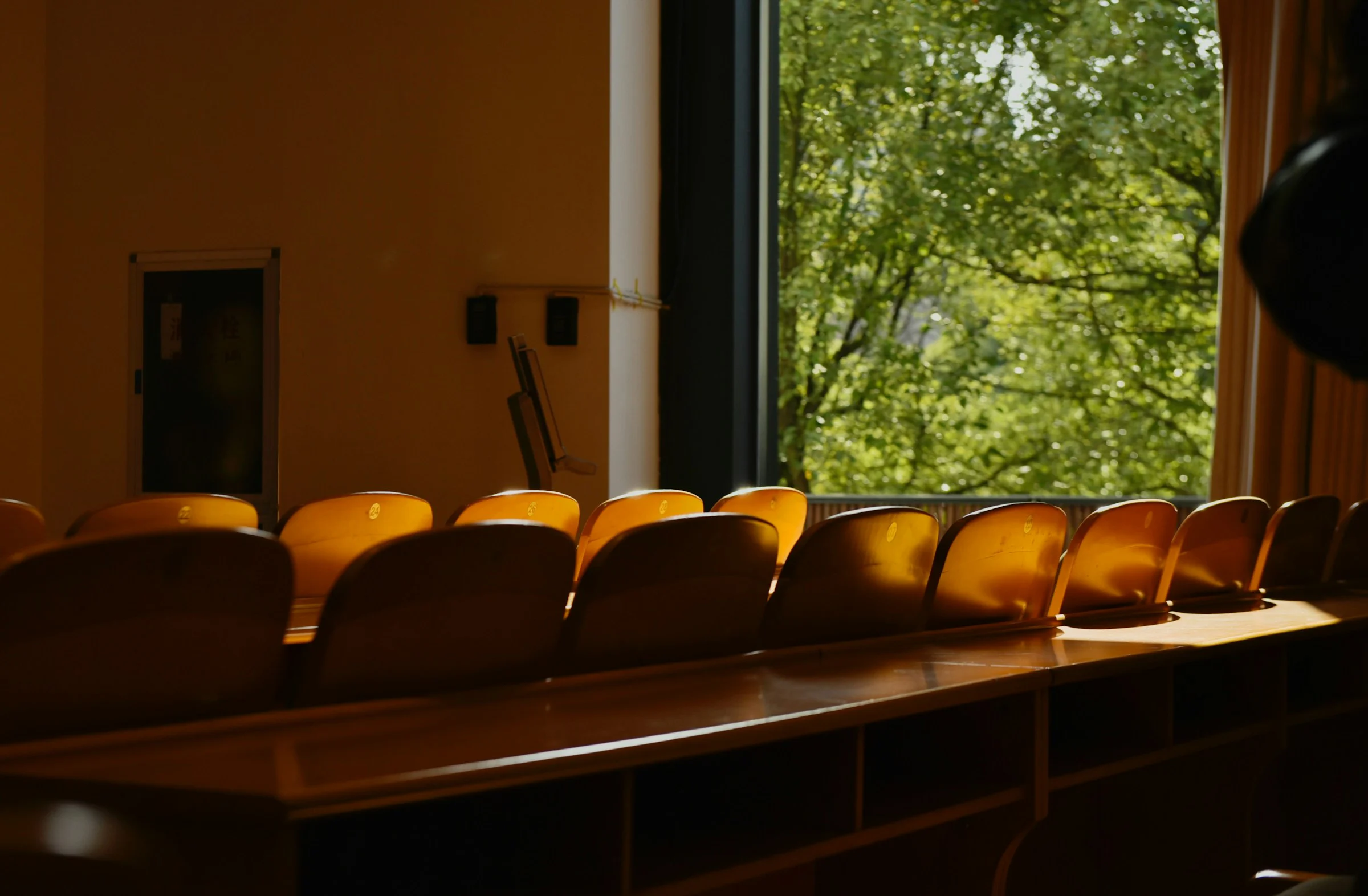 the-child-welfare-legal-process