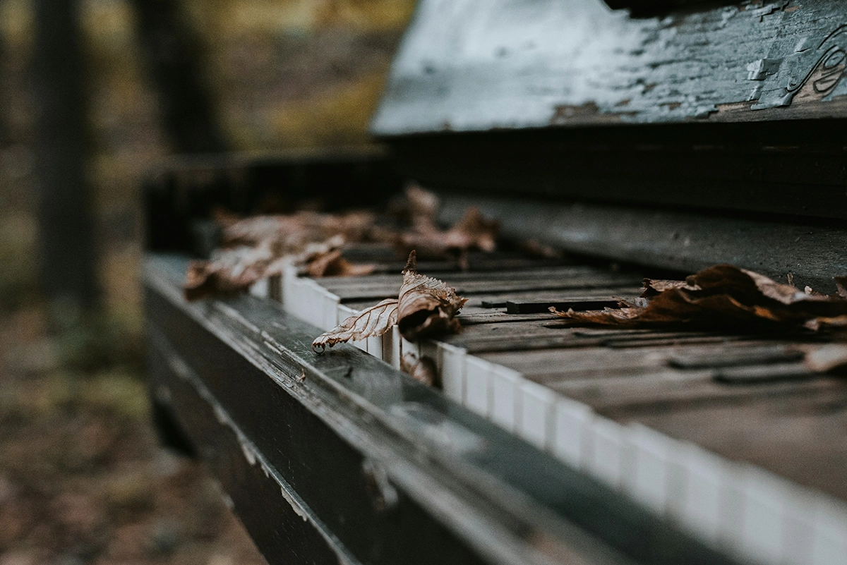 What Is Palimony? Unmarried Couples' Rights to Financial Support