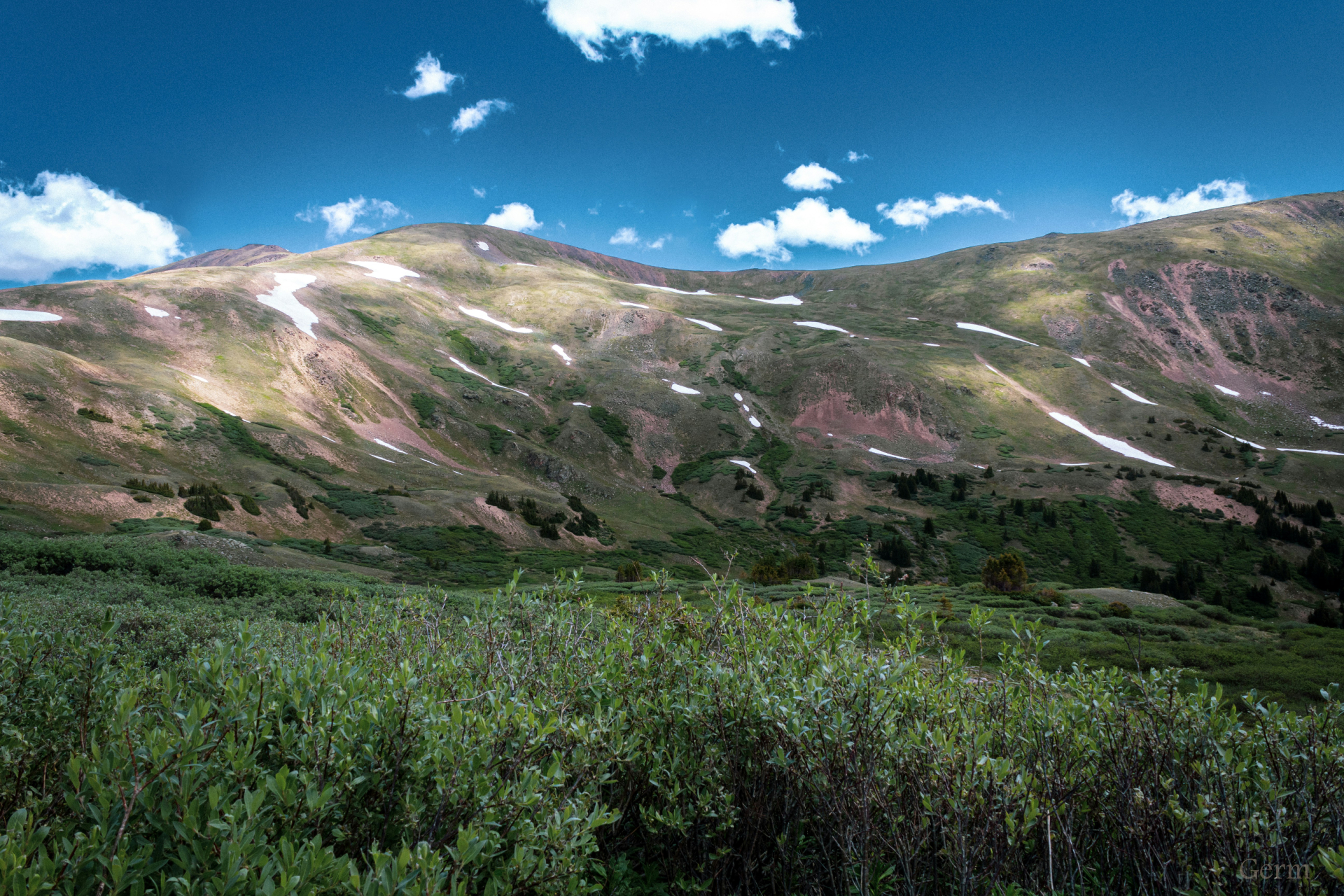 Municipal Court Violations Defense