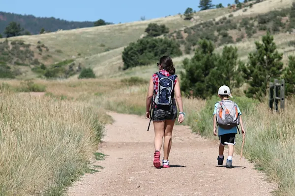 where-to-get-emergency-court-order-in-colorado