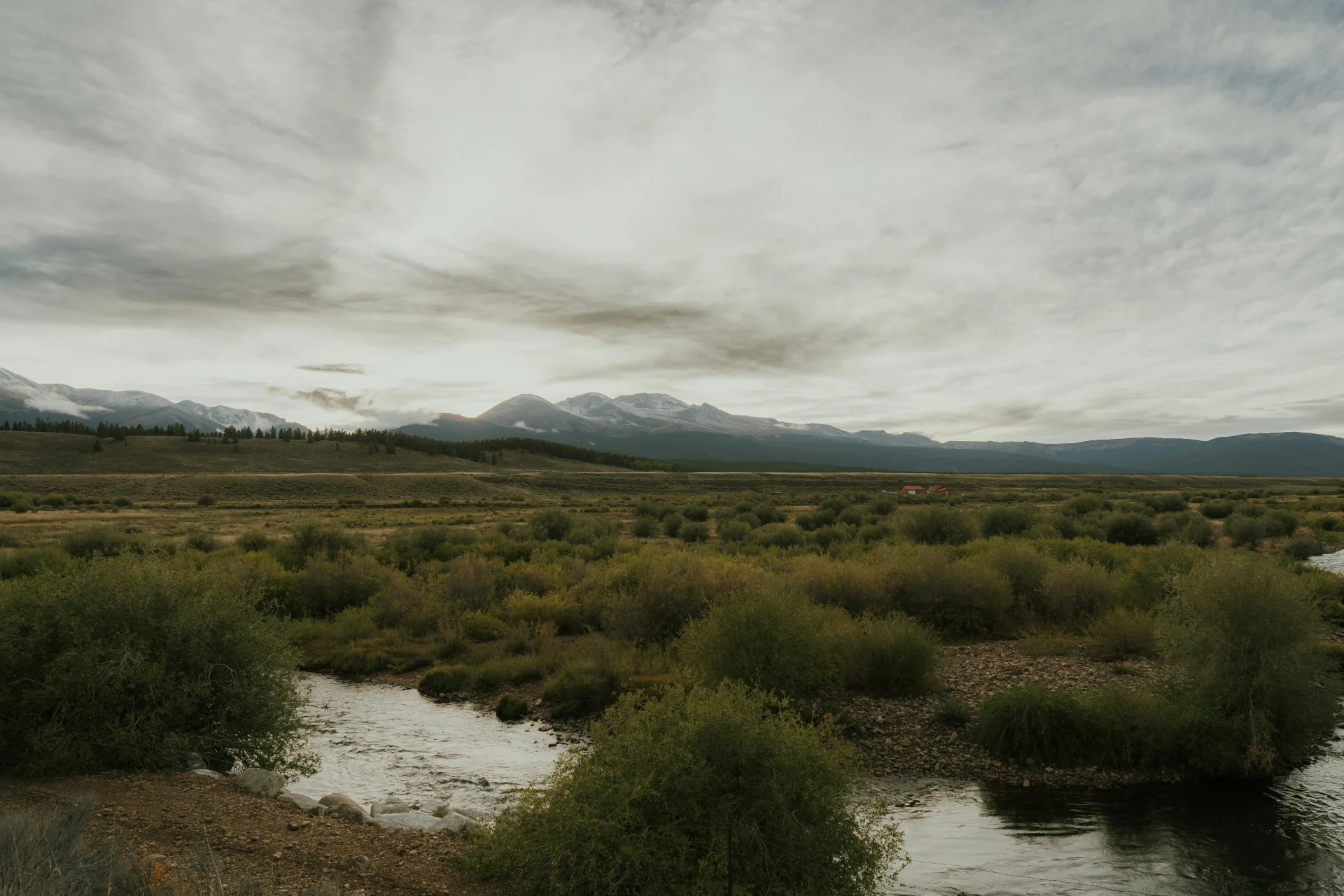 Child Welfare & Dependency 