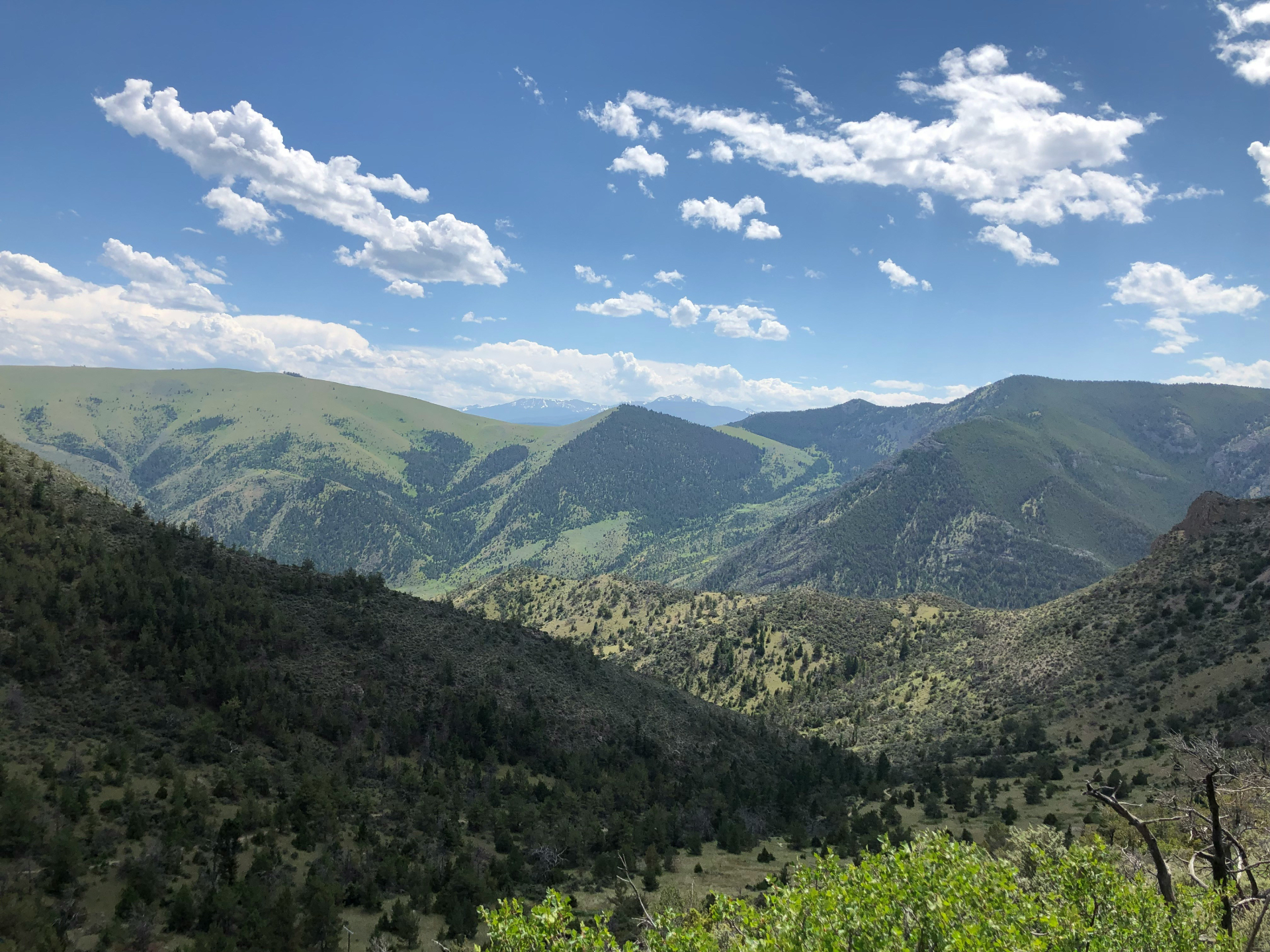 Protection Order Defense Services