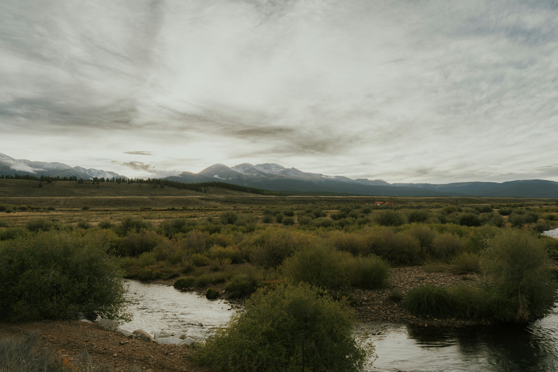 Divorce Mediation Services