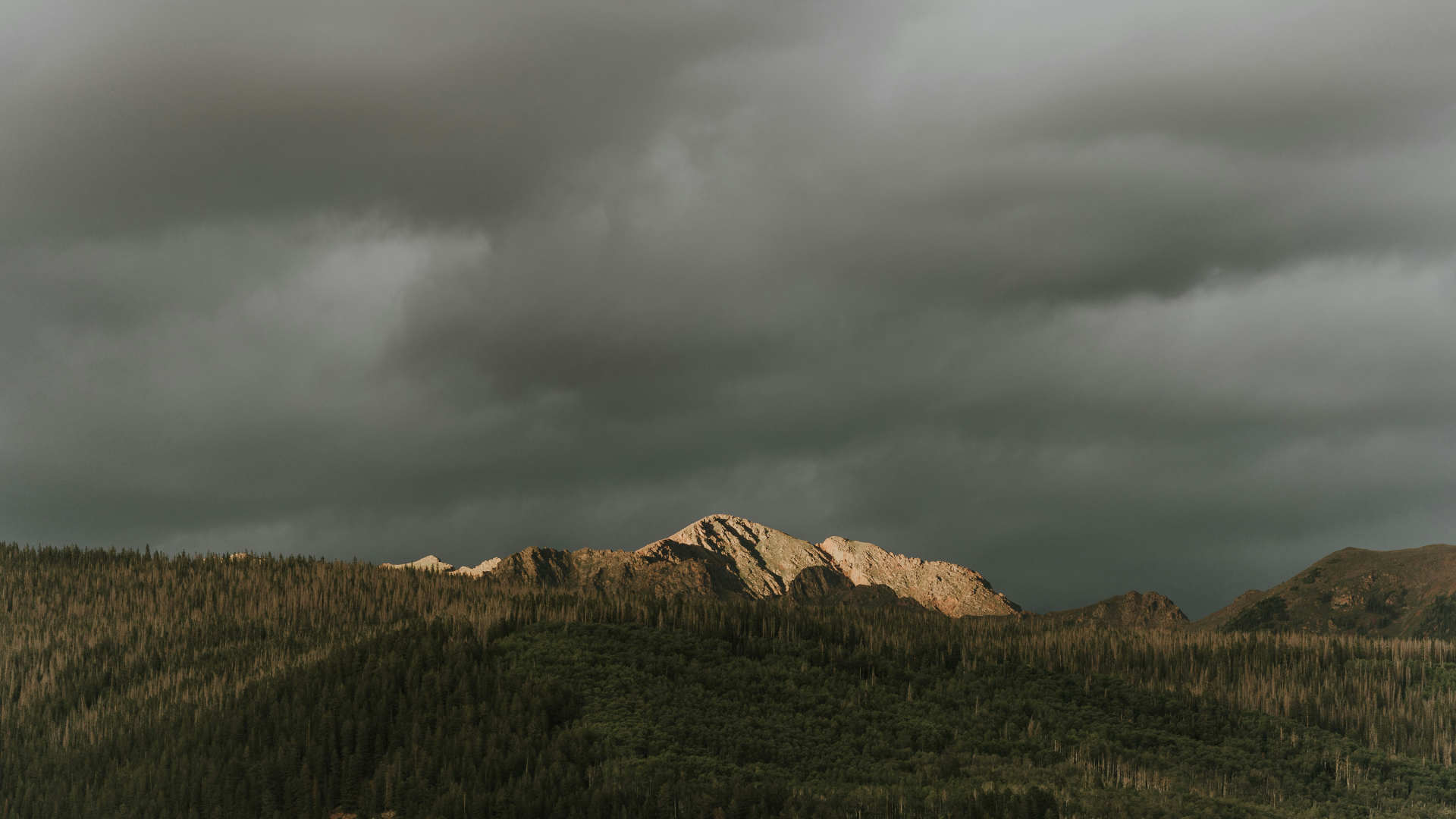 Parenting Time, Decision Making & Child Support Mediation 