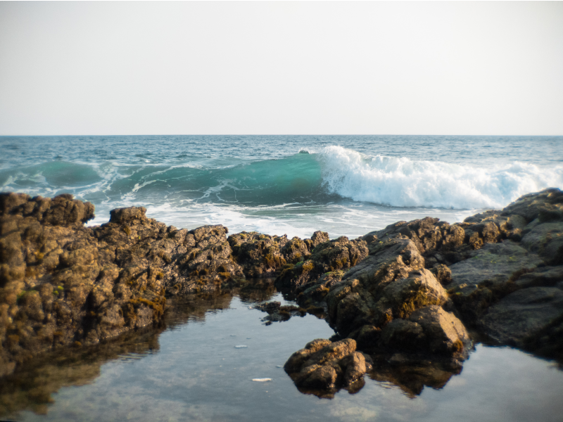 Clear ocean wave