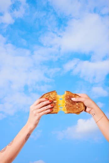GrilledCheeseR3.MSK