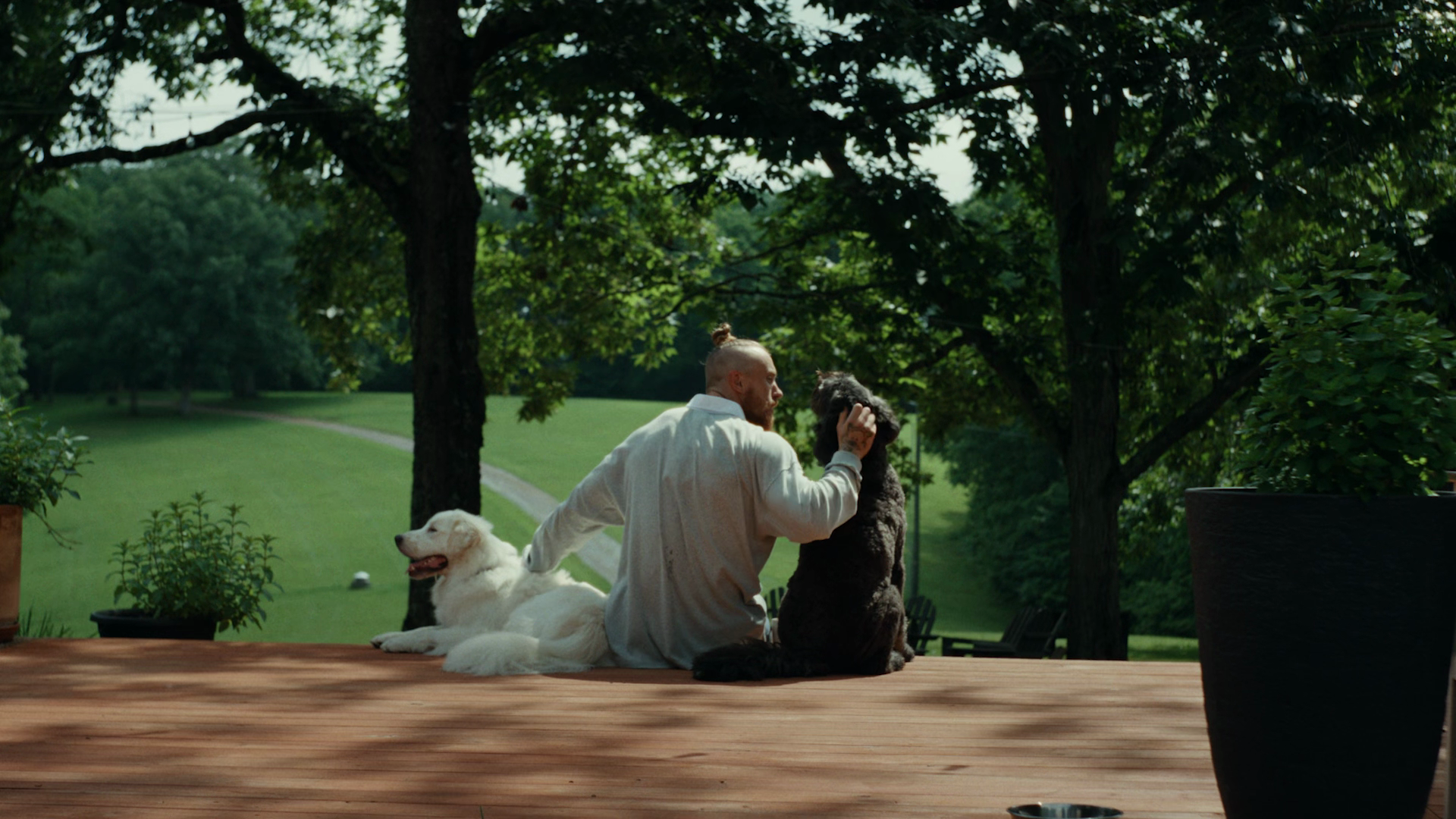 George Longform preview