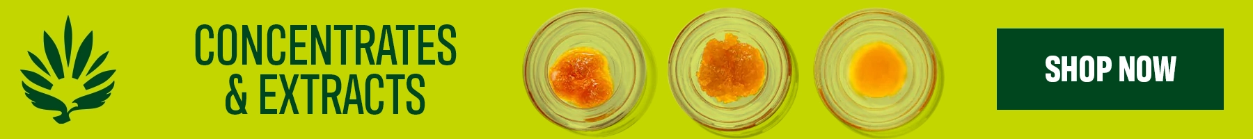 CONCENTRATES & EXTRACTS