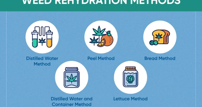 How-to-rehydrate-cannabis-Infographic