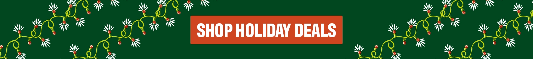 Holiday Blog Holiday Deals CTA