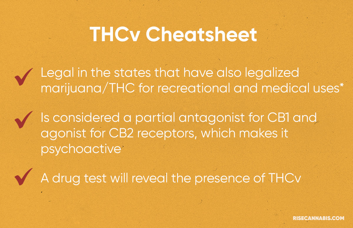 What Is THCv: Effects Of Tetrahydrocannabivarin | Rise Dispensaries