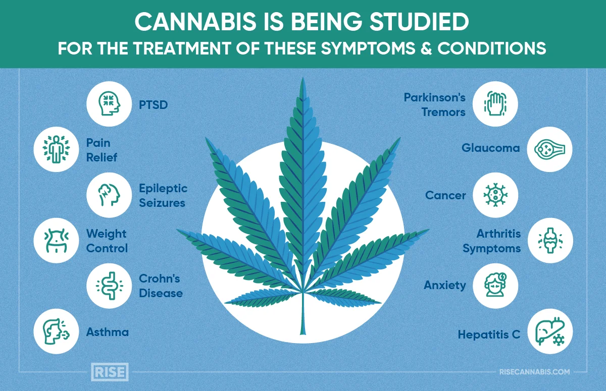 Cannabis