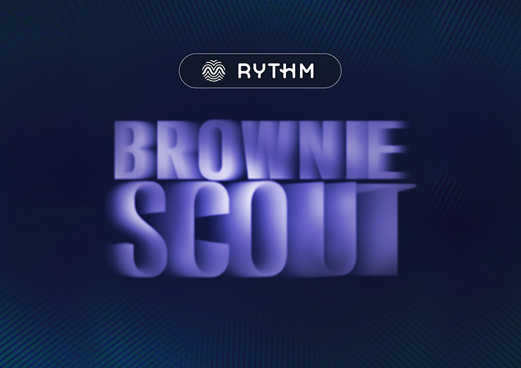 4003530-Brownie-Scout-CF-736x520-01