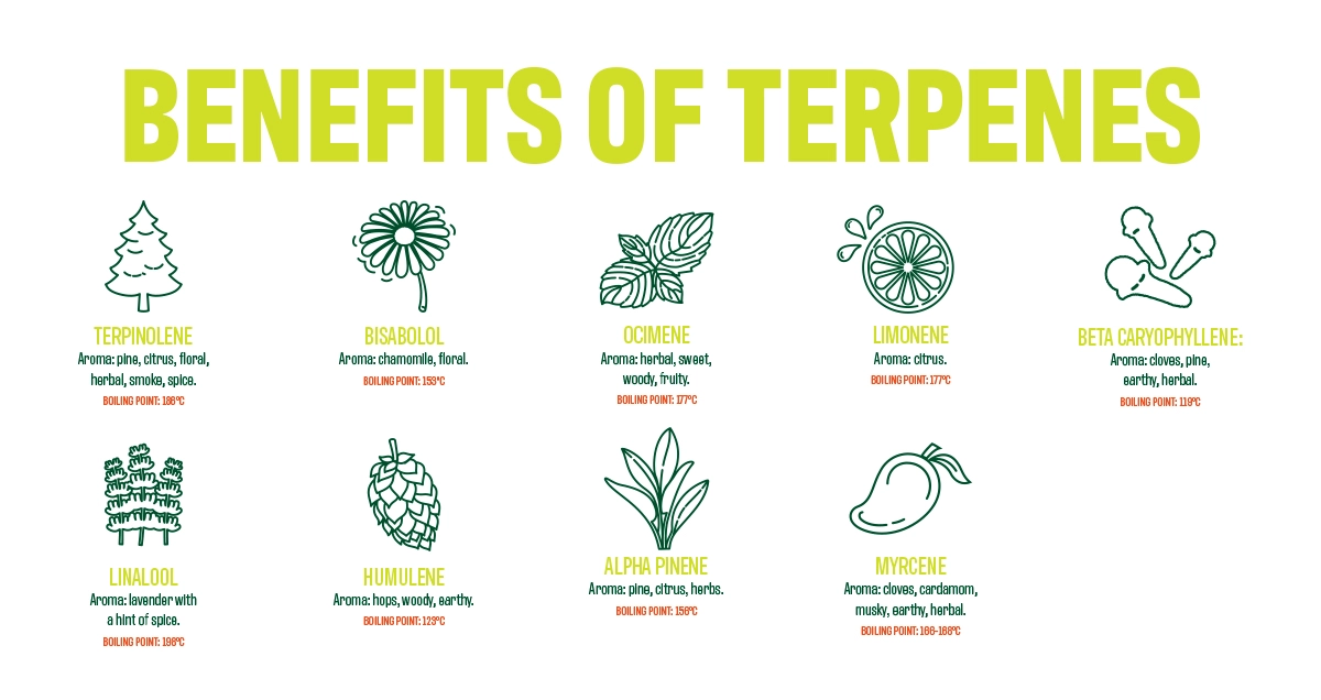 Benefits of Terpenes