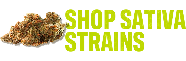 Shop Sativa Strain