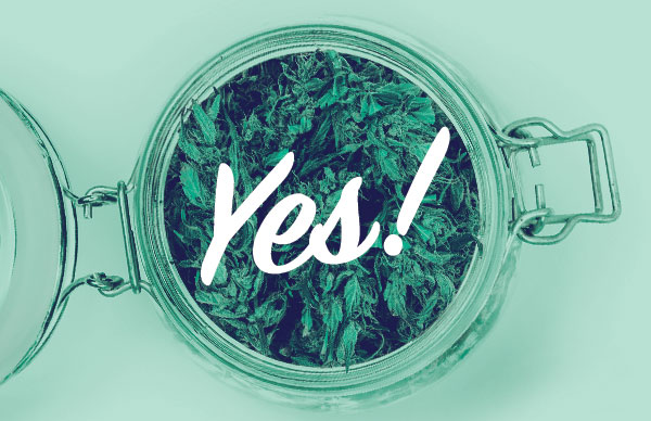 how-to-keep-cannabis-fresh-YES-jar