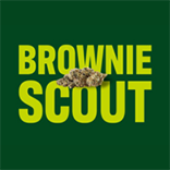 Brownie-Scout-2-DC-Mobile.webp