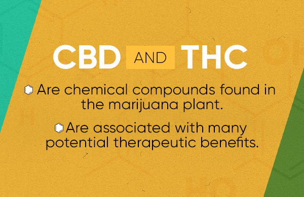 CBD-and-THC