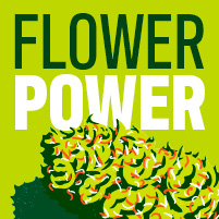 FL-3-4-10-Flower-Deals-Deal-Card copia 3 (3).webp