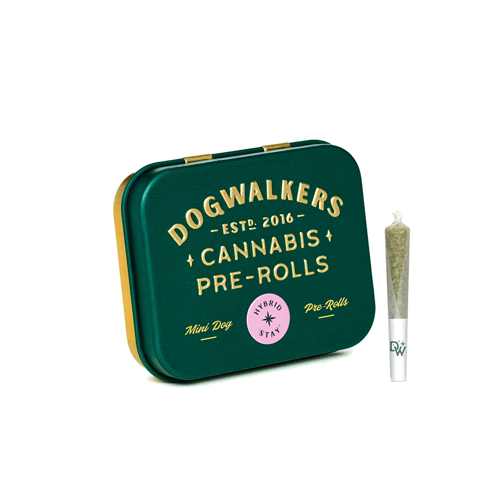 DogWalkers-MiniDogs-HYBRID-Stay-PreRoll