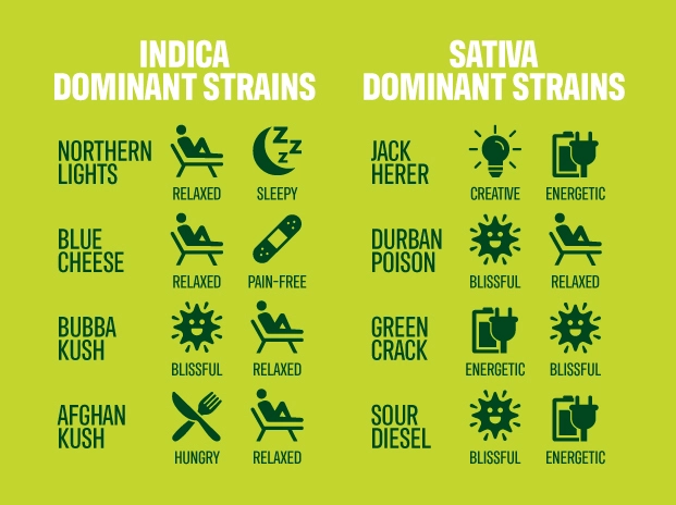 Indica dominant strains vs sativa dominant strains