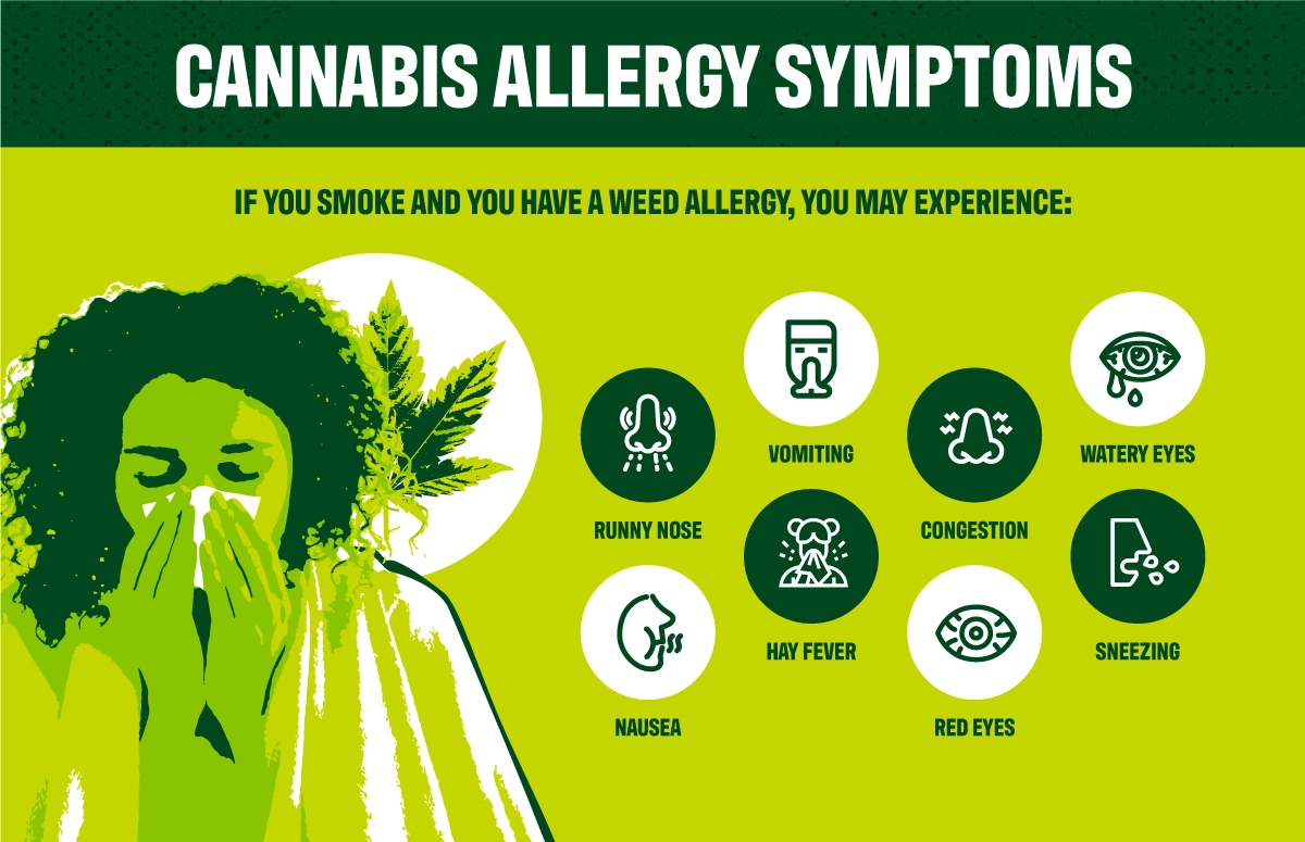 Cannabis-Allergy-Inforgraphic