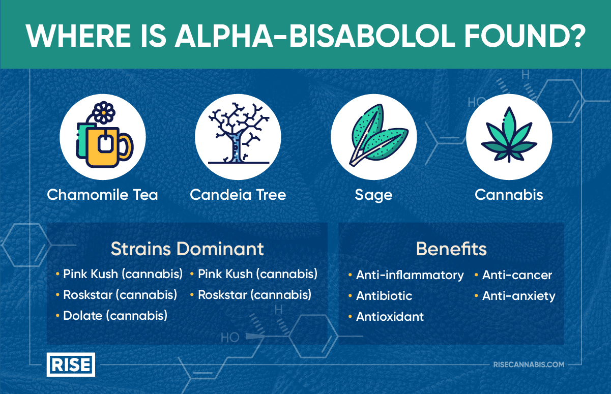 Bisabolo-Infographic