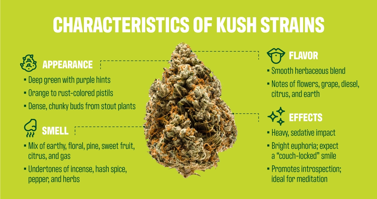 What is Kush Cannabis | Types of Kush Strains | RISE Dispensaries