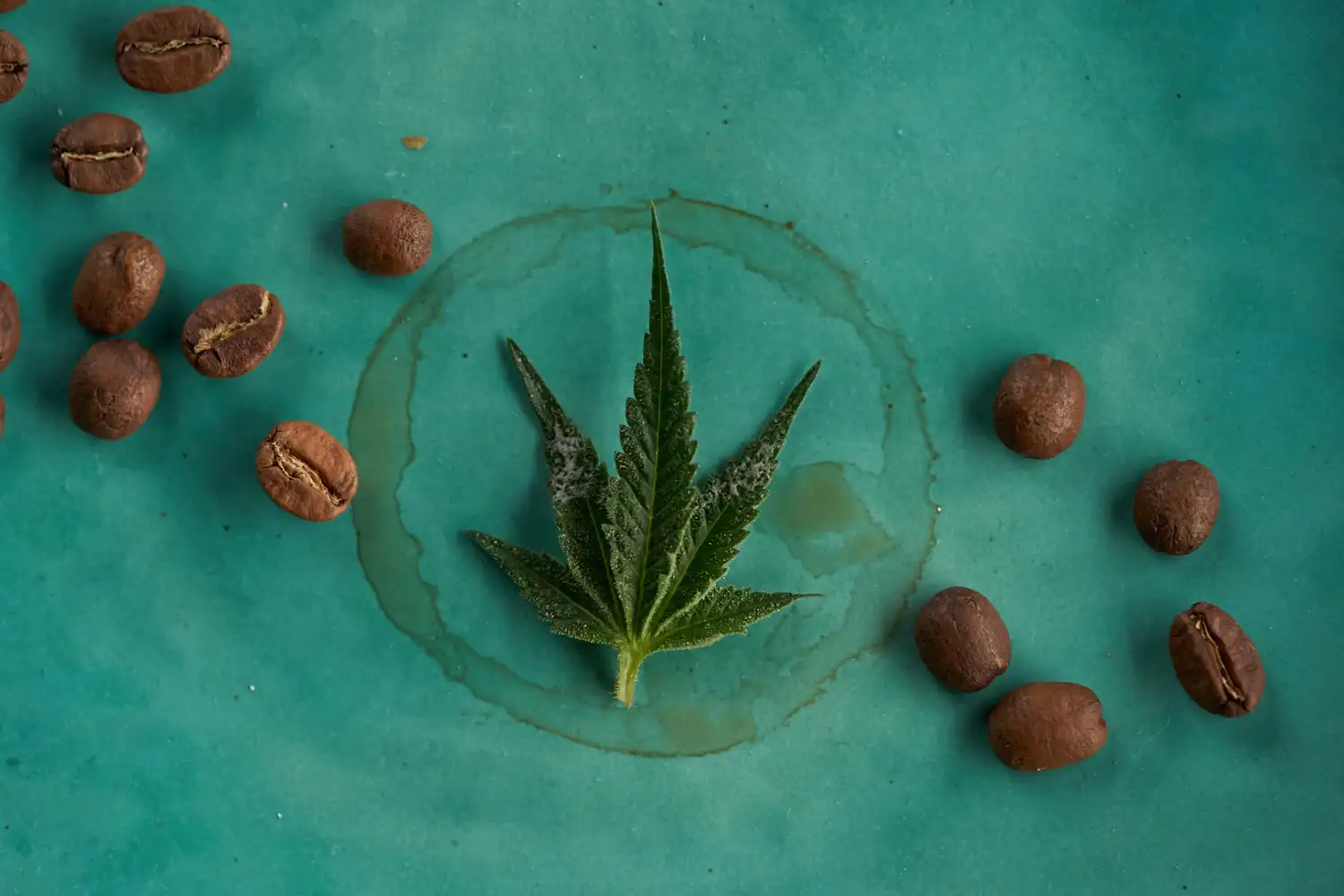 Cannabis Leaf