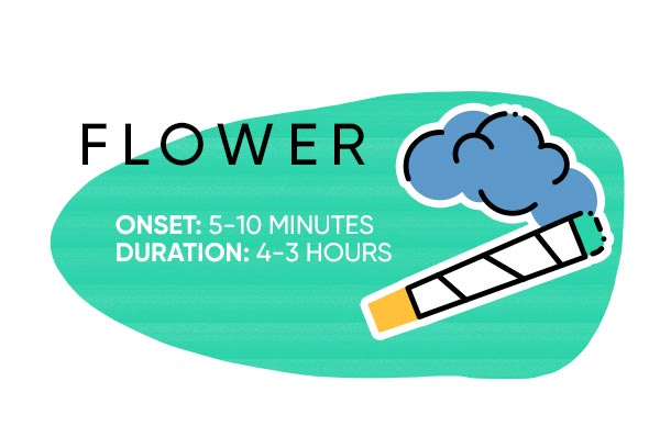 flower-marijuana-consumption