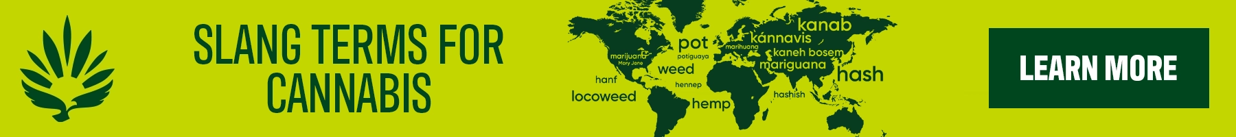 Slang terms for cannabis