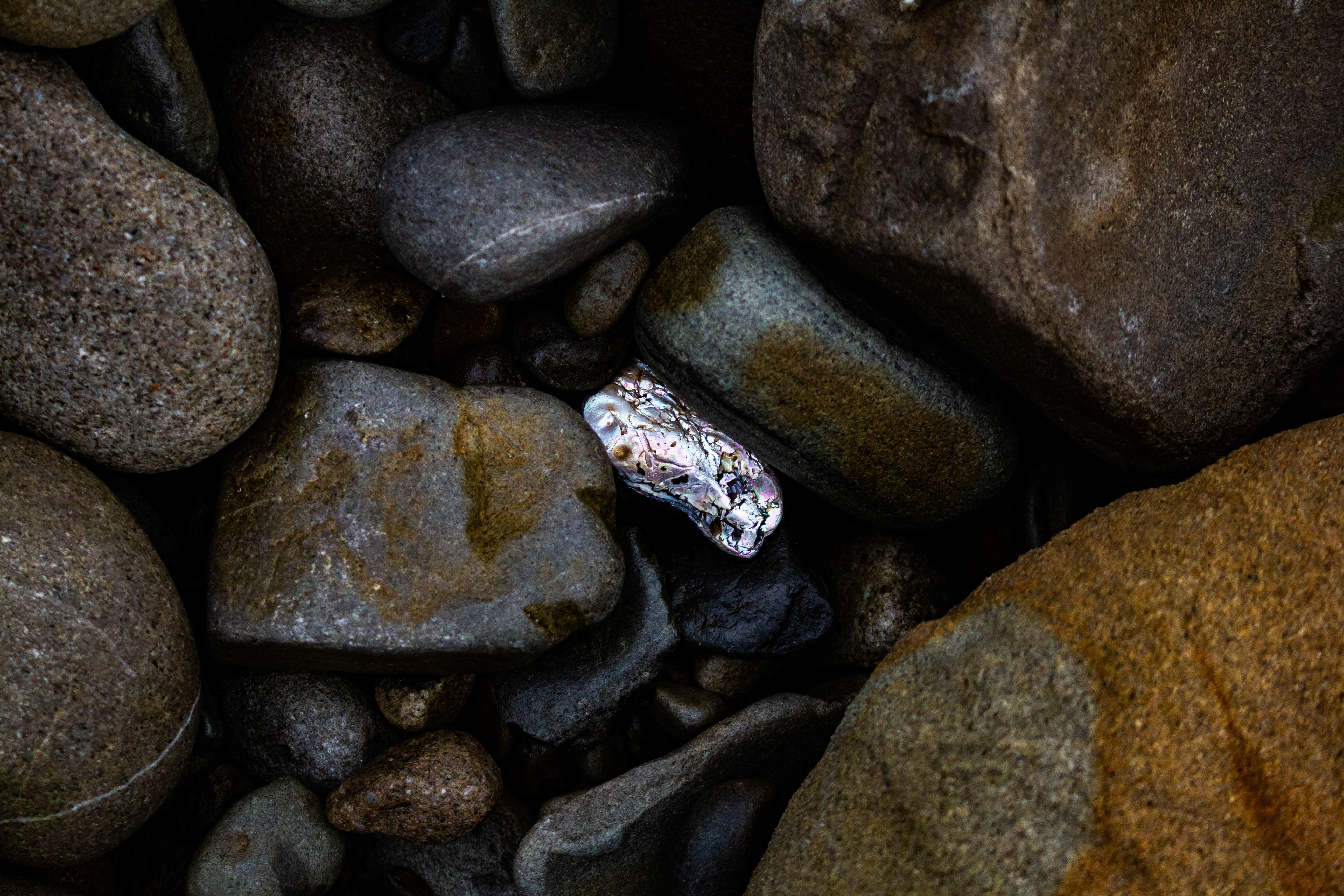 A photograph of a shiny thing amongst some more dull rocks.