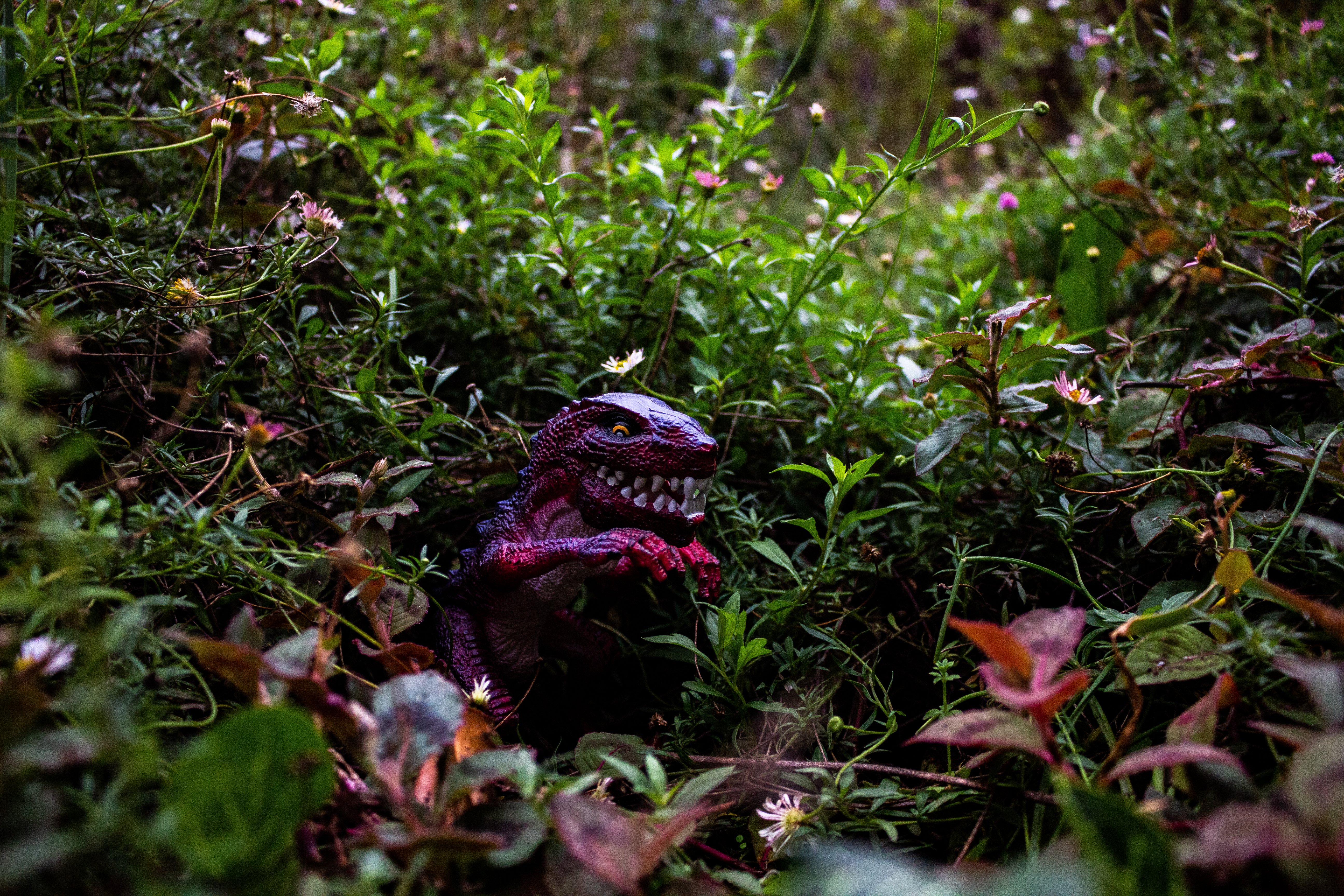 A photograph of a toy dinosaur amonst the flowers.