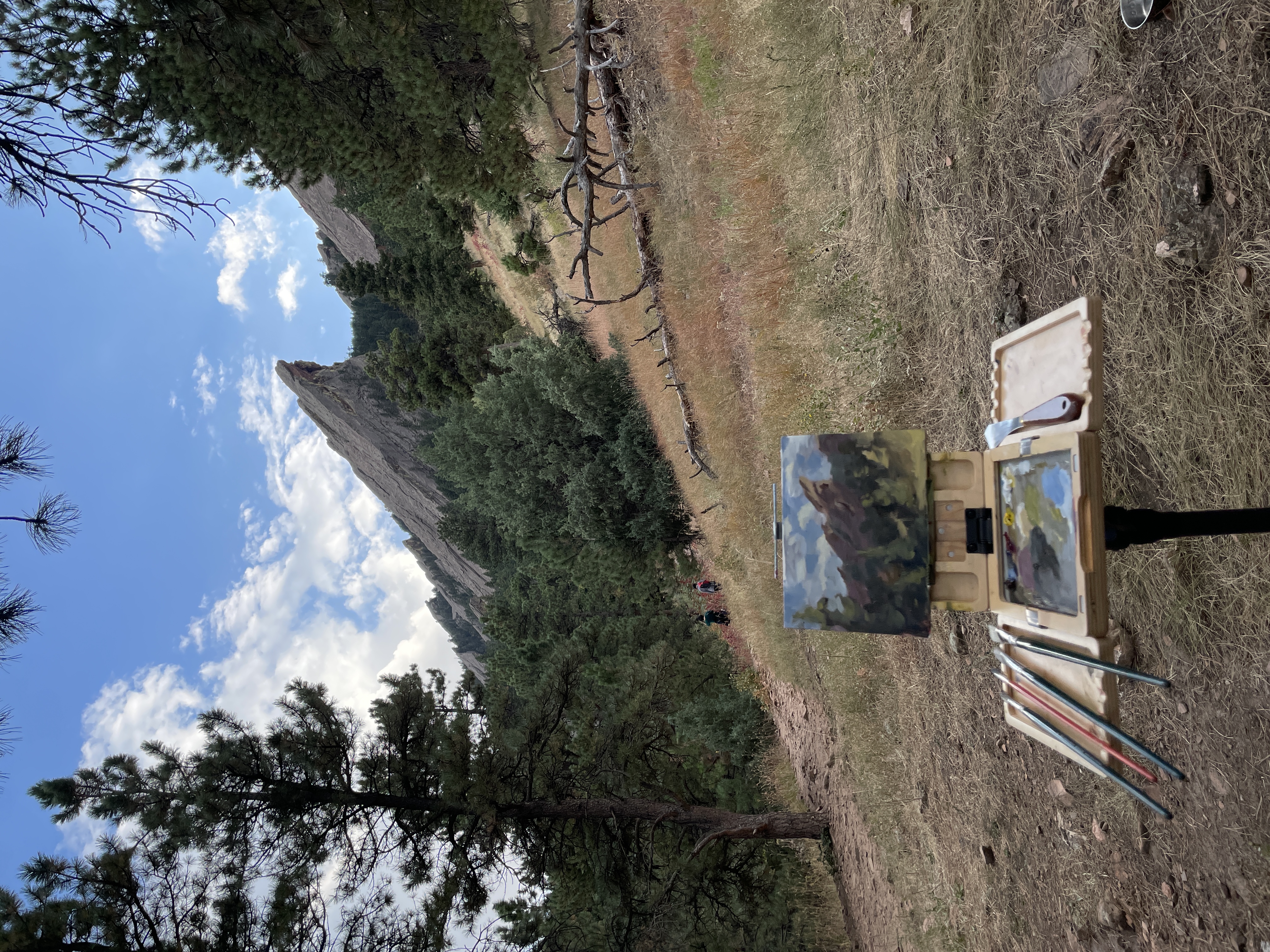 A photograph of a painting in the context of the scene that it depicts: A rocky mountain beyond some trees on a sunny day.