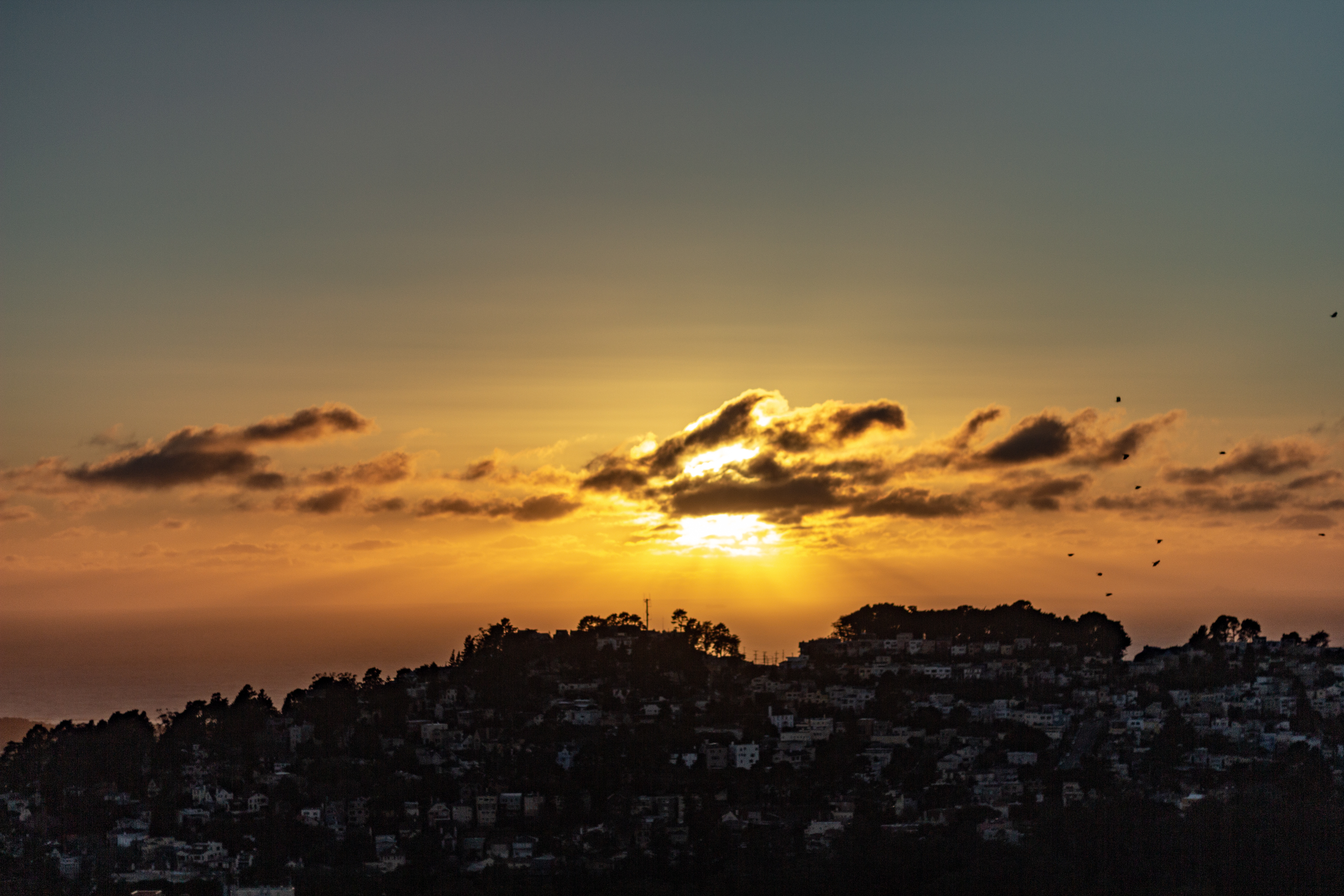 A photograph of many houses under the bright sunset.