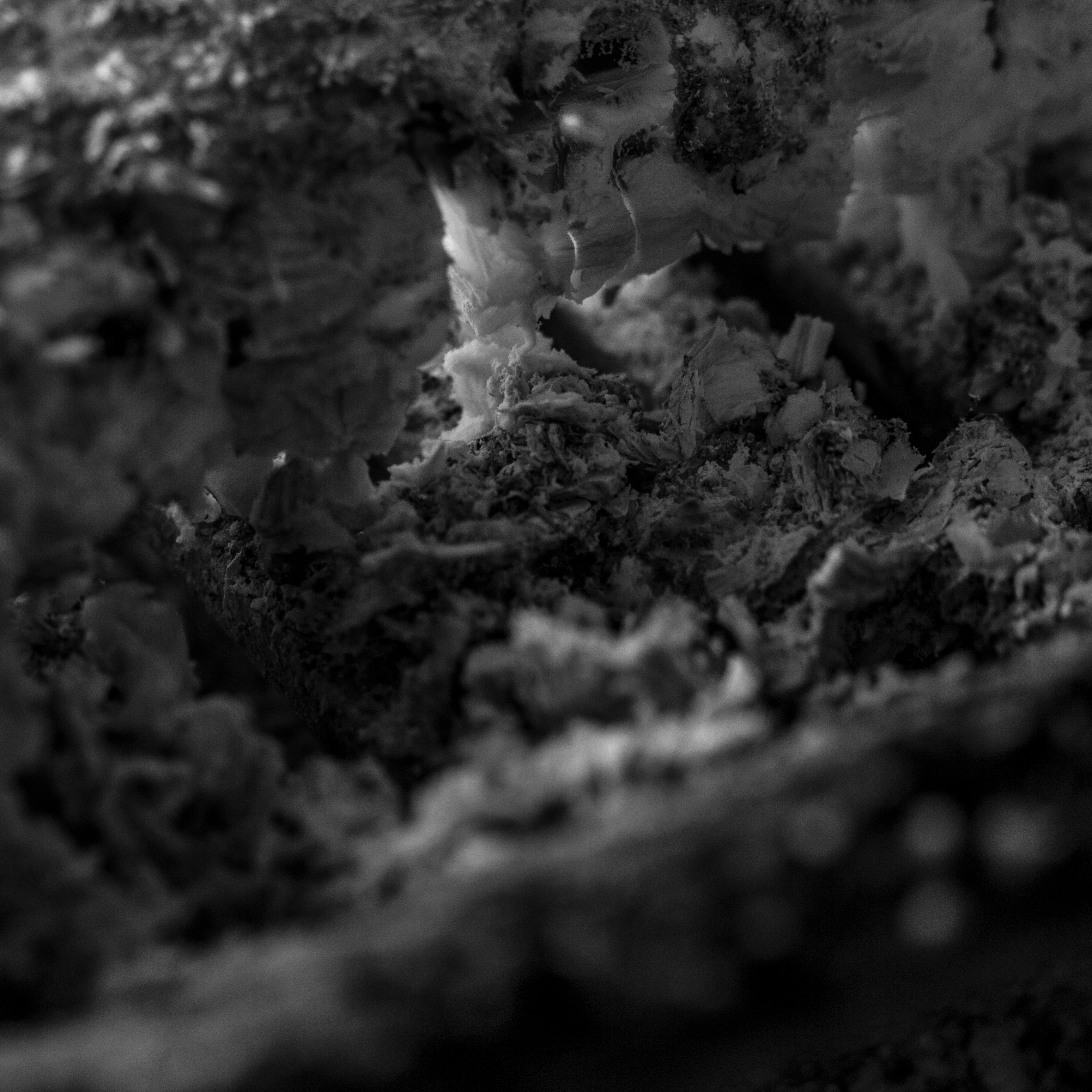 A photograph of some ash.