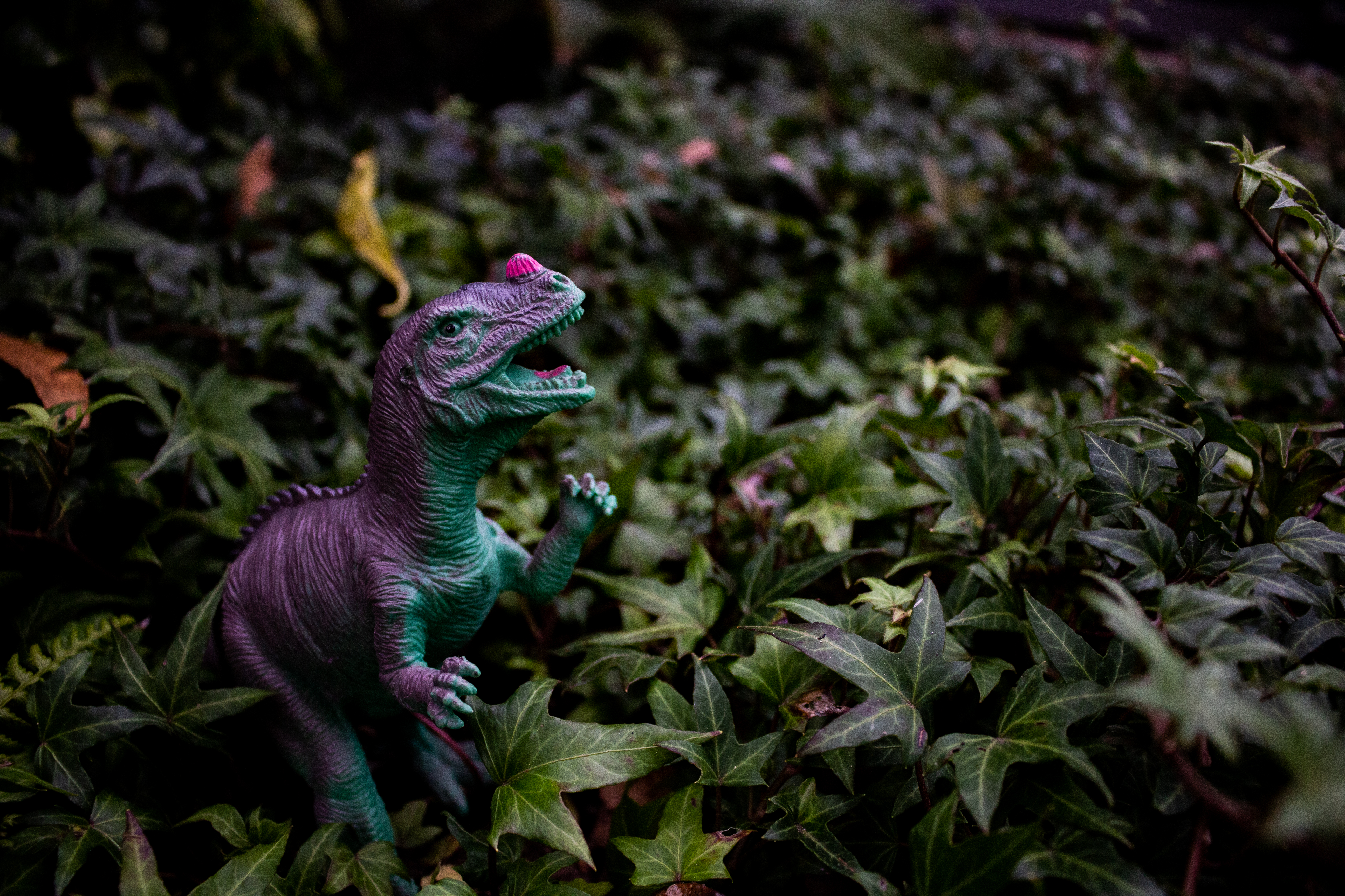 A photograph of a toy dinosaur amongst some plants.