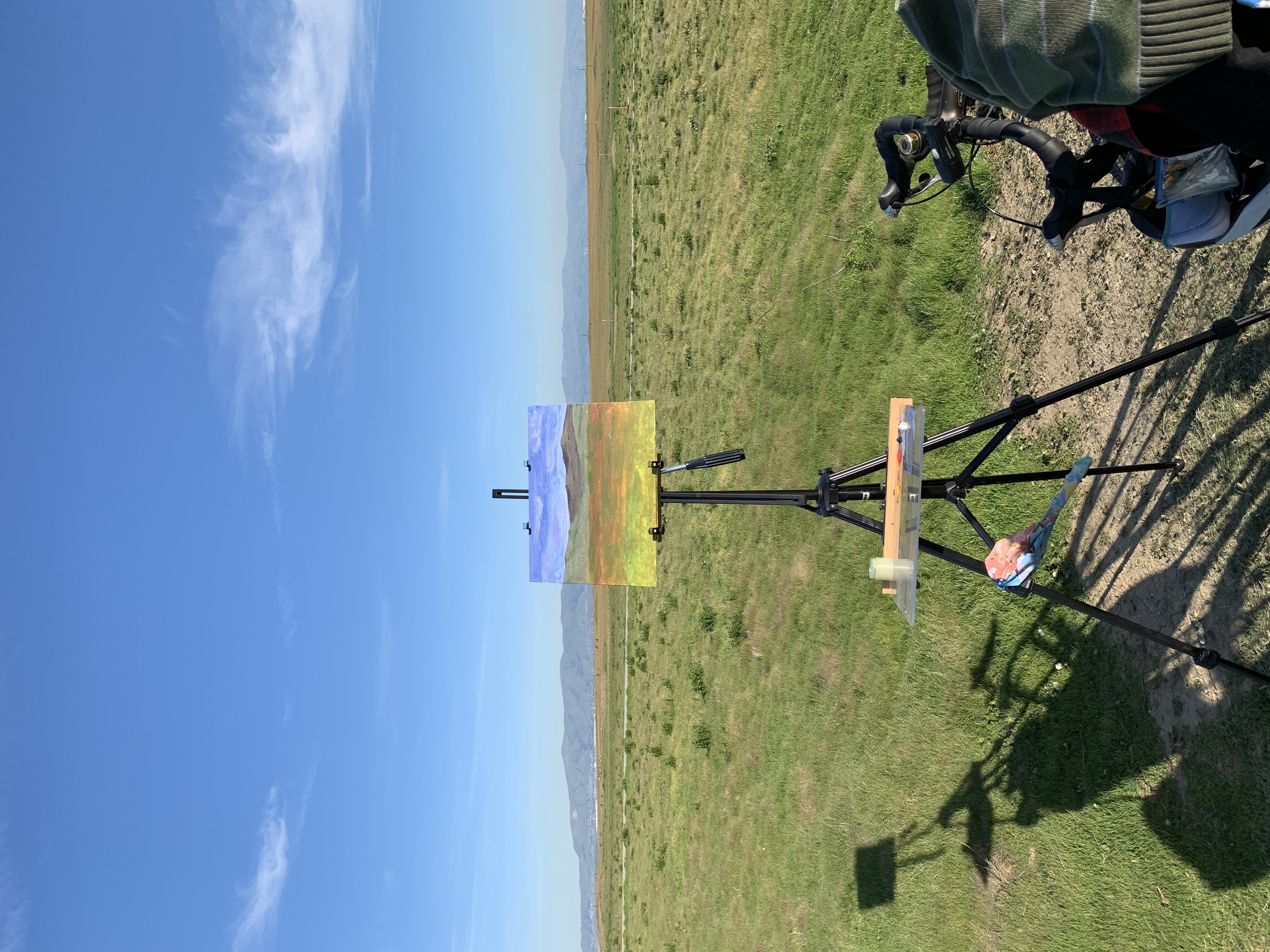 A photograph of a painting shown in the context of the scene it depicts: A field with some mountains behind on a sunny day.