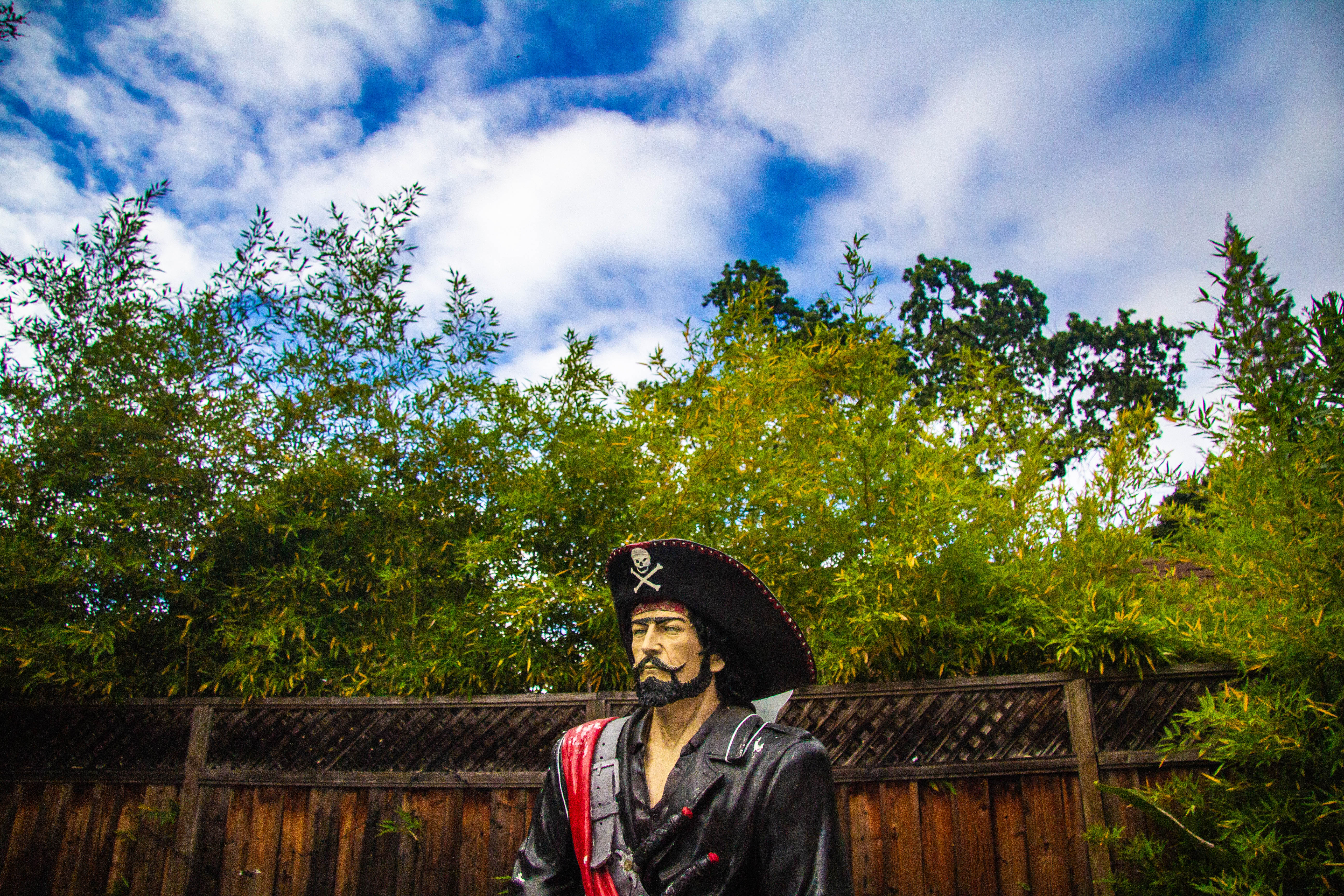 A photograph of a pirate statue.
