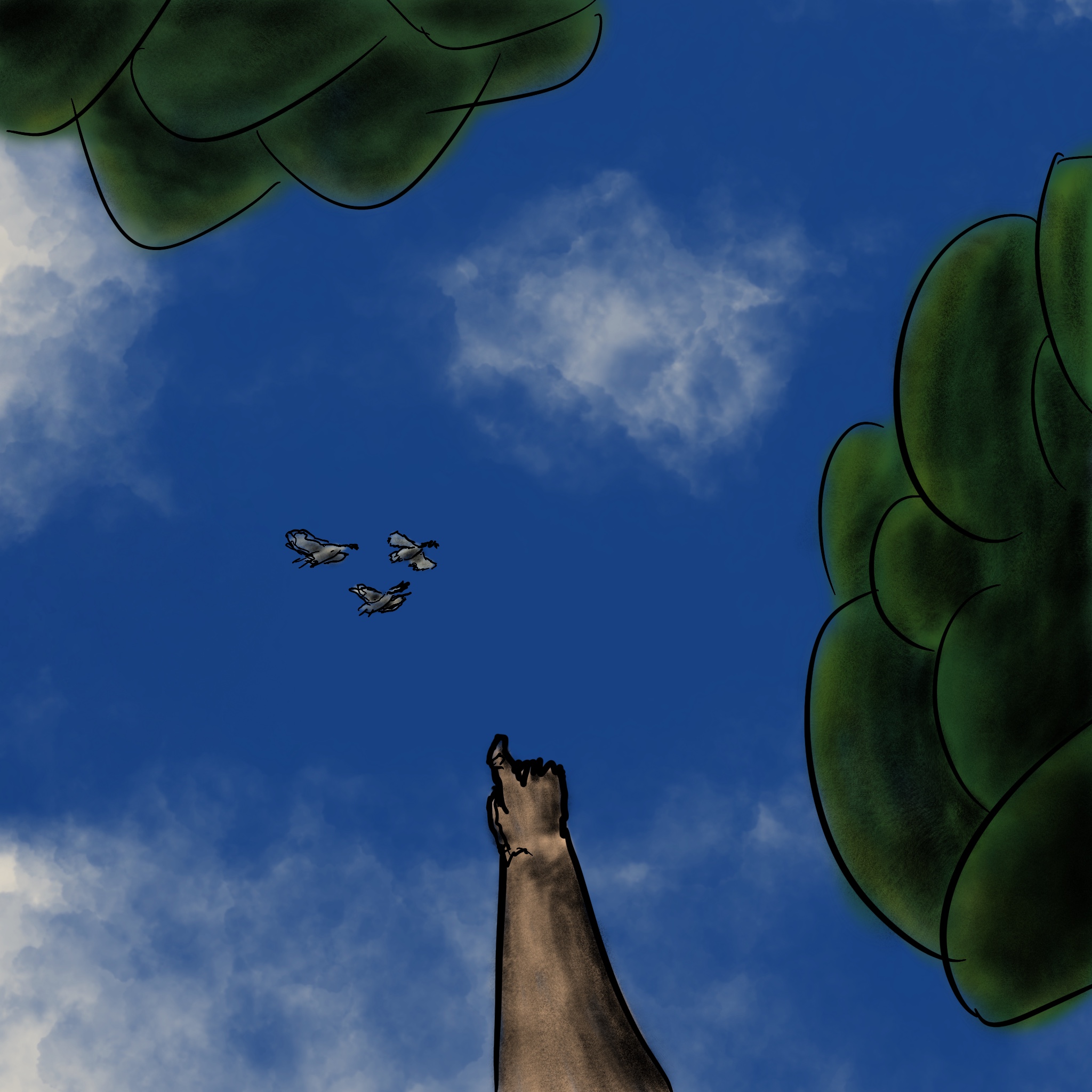 A drawing of a flock of birds passing by overhead as you lay on your back looking at the clouds.