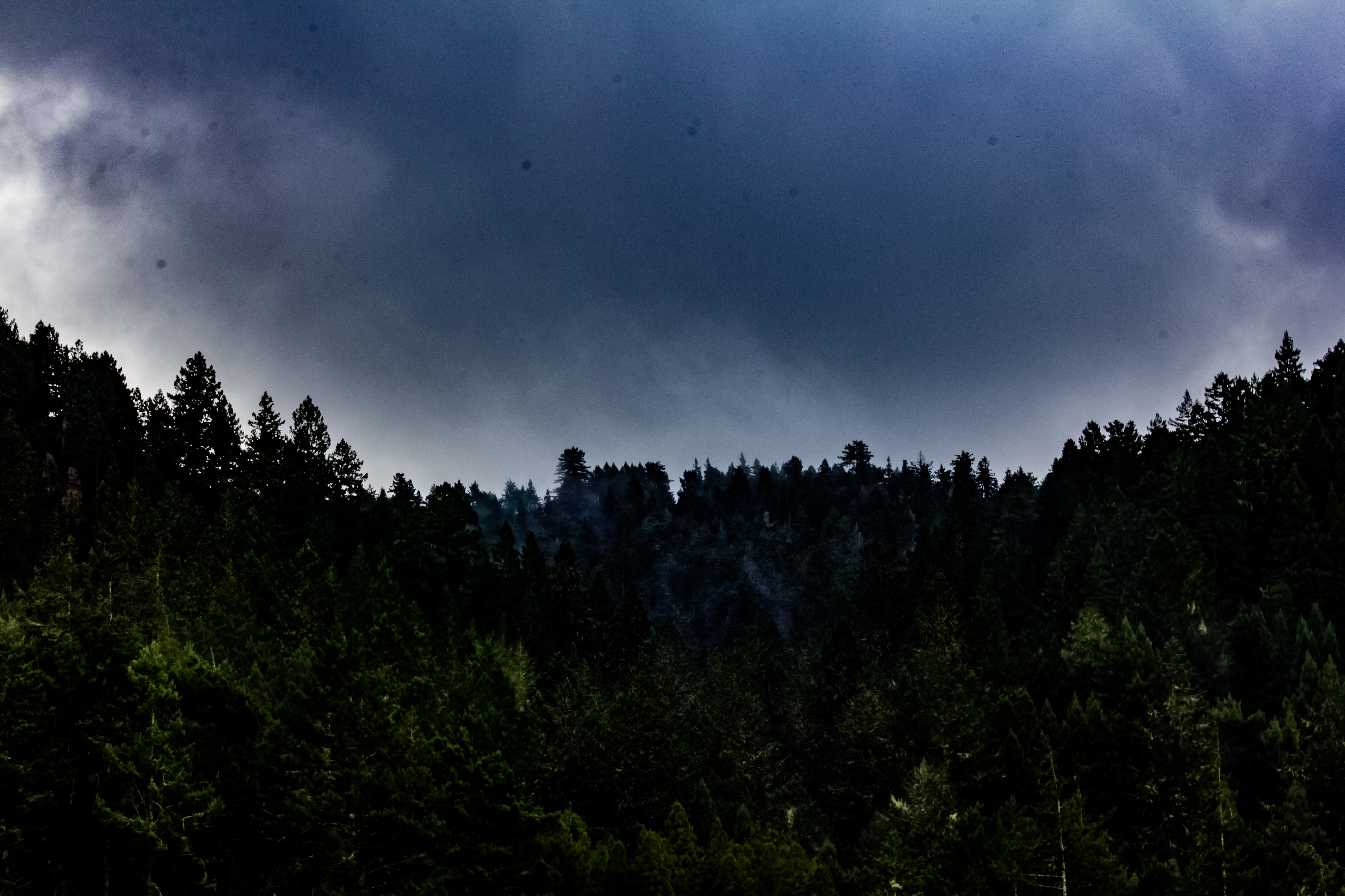 A photograph of the mist coming off the trees on an overcast day.