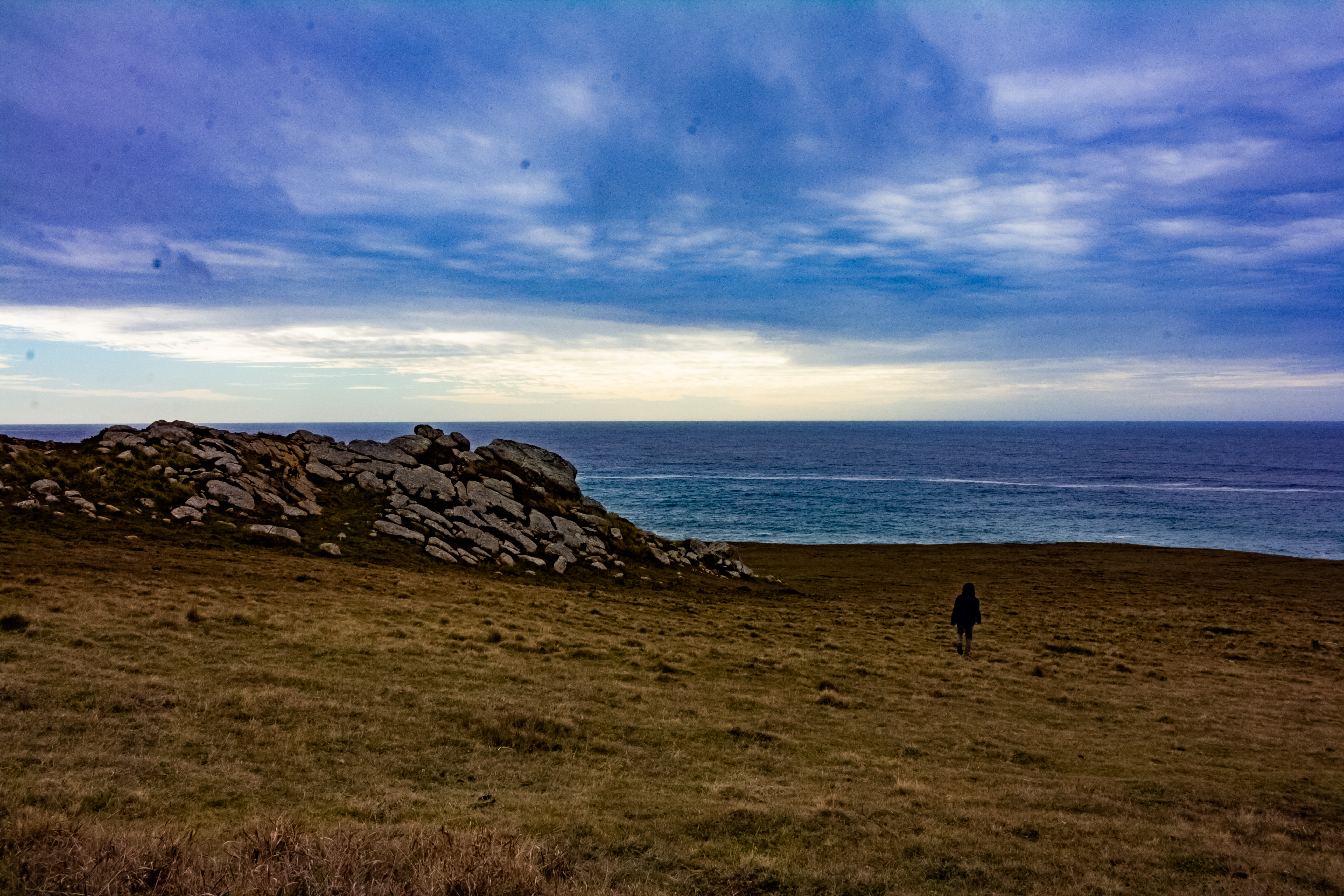 A photograph of a rocky bank overlooking the ocean.