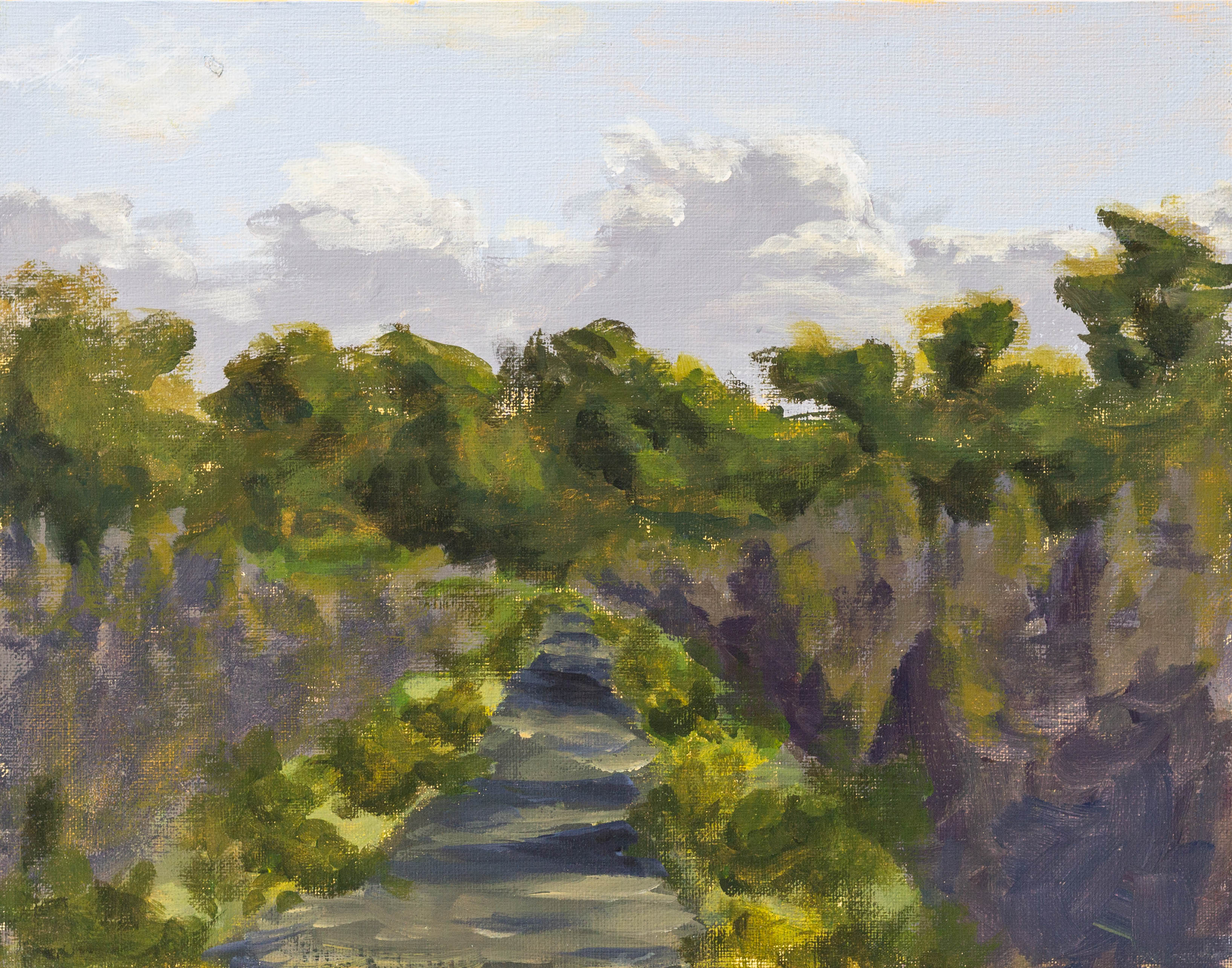 A painting of a paved bike path through a grassy field with clouds in the background on a sunny day.