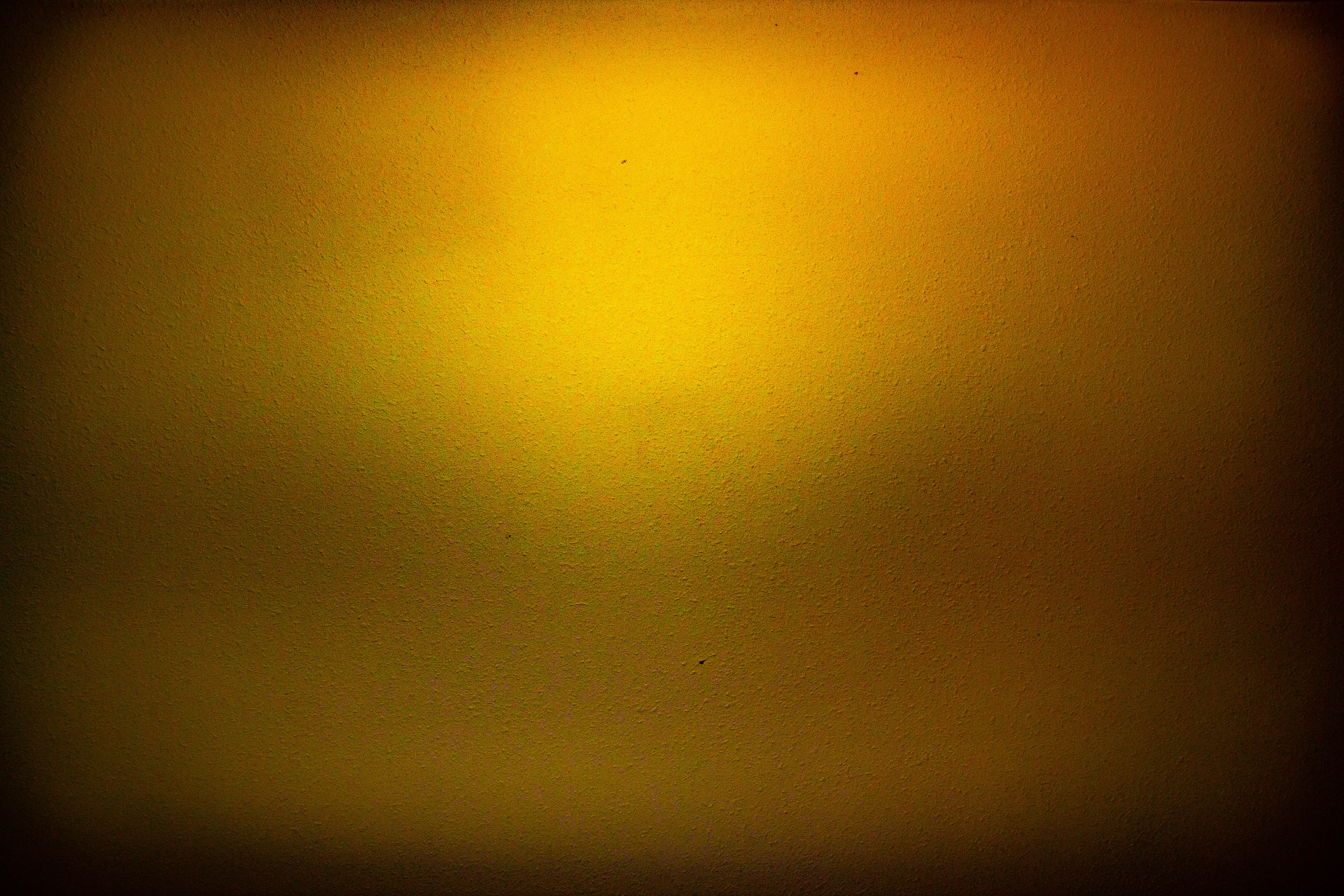 A photograph of a wall.