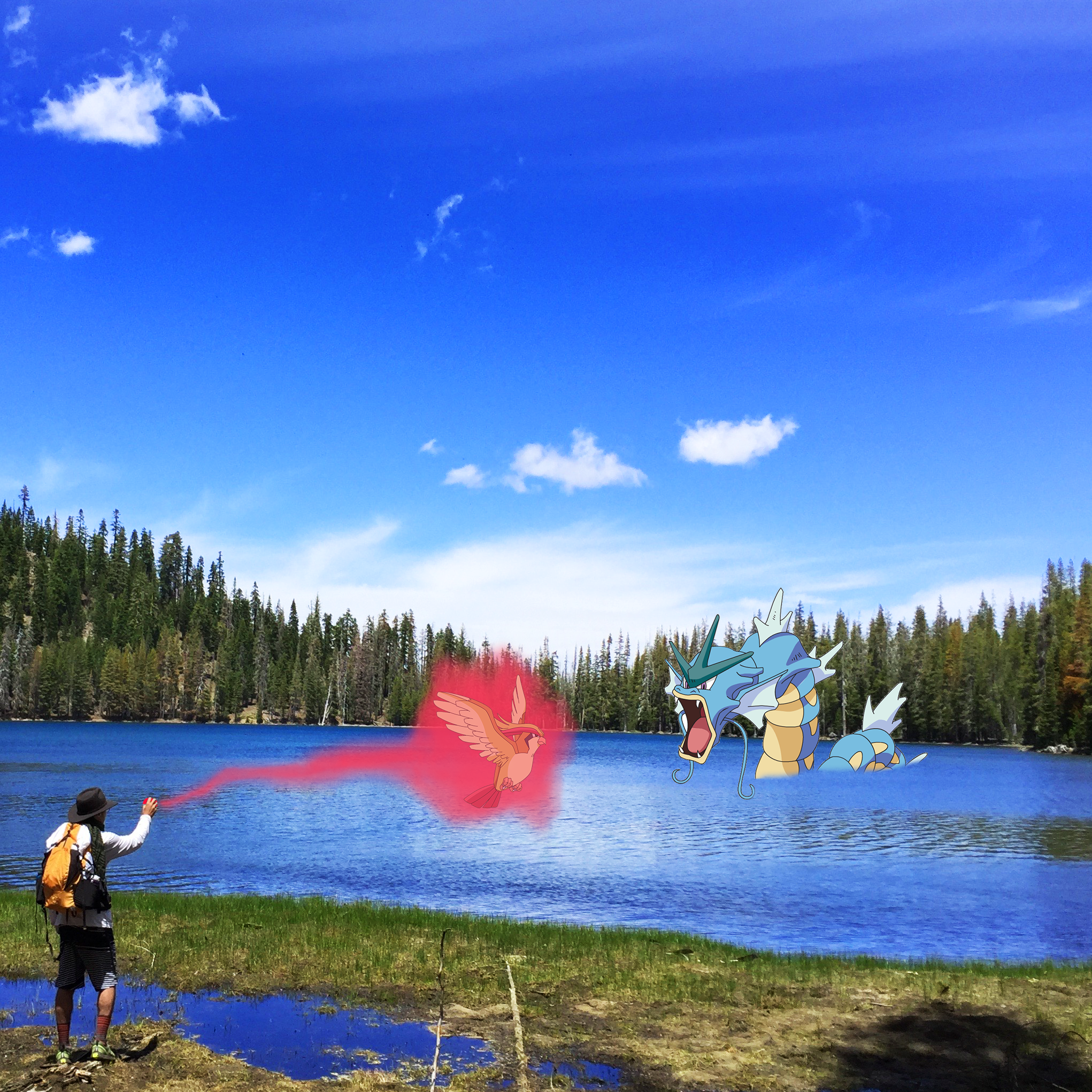 A photograph of a trainer battling a wild Gyarados.